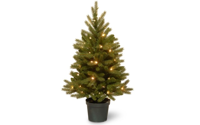  3 ft. Jersey Fraser Fir Tree with Battery Operated Warm White LED Lights