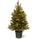  3 ft. Jersey Fraser Fir Tree with Battery Operated Warm White LED Lights
