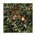  48″ Fiber Optic Radiance Fireworks Tree
