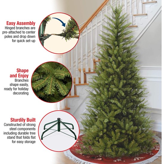  6 .5′ Dunhill Fir Slim Tree with 500 Clear Lights