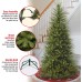  6 .5′ Dunhill Fir Slim Tree with 500 Clear Lights