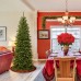  6 .5′ North Valley Spruce Pencil Slim Tree