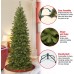  6 .5′ North Valley Spruce Pencil Slim Tree