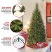 6′ Spruce Tree with 300 Lights