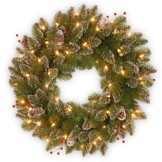  24 Glittery Mountain Spruce Wreath