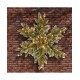 32″ Glittery Bristle Pine Snowflake with 21 White Tipped Cones & 50 Warm White Battery Operated LED Lights