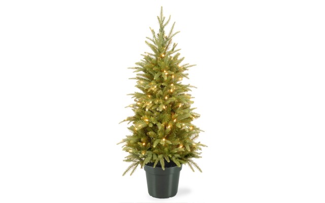  Company 4′ Weeping Spruce Wrapped Tree in Green Pot with 100 Clear