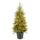  Company 4′ Weeping Spruce Wrapped Tree in Green Pot with 100 Clear