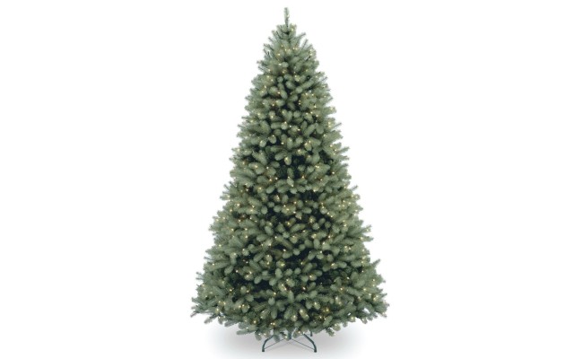  Downswept Douglas Blue Fir Tree, 6.5 ft