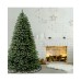  Downswept Douglas Blue Fir Tree, 6.5 ft