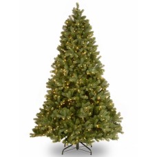 National Tree Downswept Douglas Fir Tree 7.5'