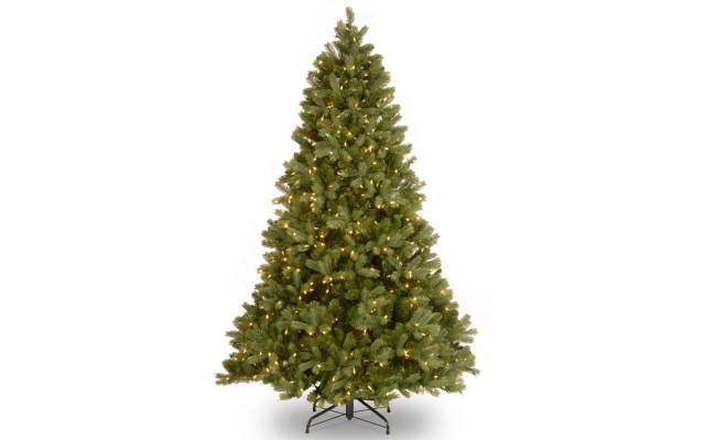  Downswept Douglas Fir Tree 7.5'