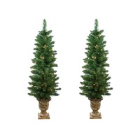 Northlight Artificial, Set of 2 Pre-Lit Whitmire Pine Potted Artificial Christmas Trees 4′ – Clear Lights