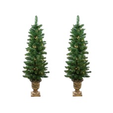 Northlight Artificial, Set of 2 Pre-Lit Whitmire Pine Potted Artificial Christmas Trees 4′ – Clear Lights