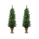  Artificial, Set of 2 Pre-Lit Whitmire Pine Potted Artificial Christmas Trees 4′ – Clear Lights