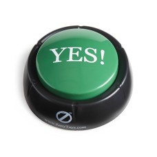Zany Toys The Yes Button