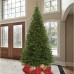  9′ Pre-Lit Tree with Warm White LED Lights
