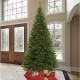  9′ Pre-Lit Tree with Warm White LED Lights