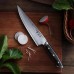 Z Series Forged from 67 layers of Damascus X-7 Steel for Excellent Chef Knife