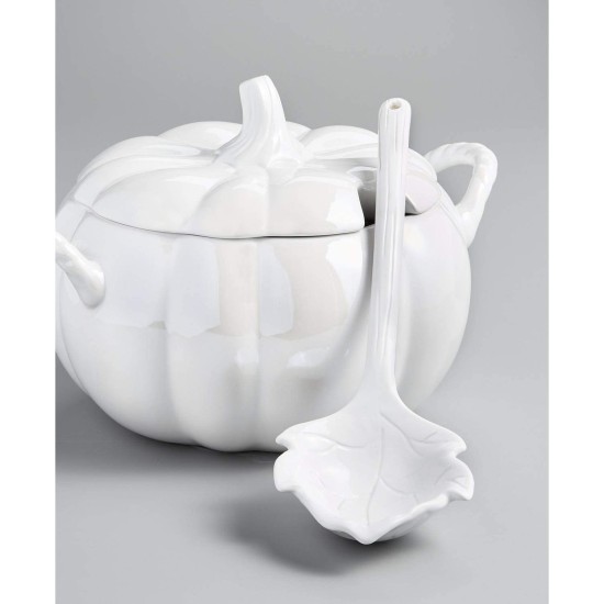  Collection Pumpkin Soup Tureen