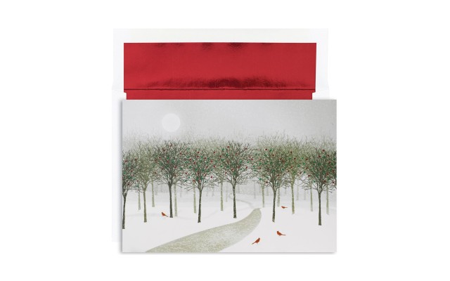  Wintrypark Holiday Boxed Cards 16-Count