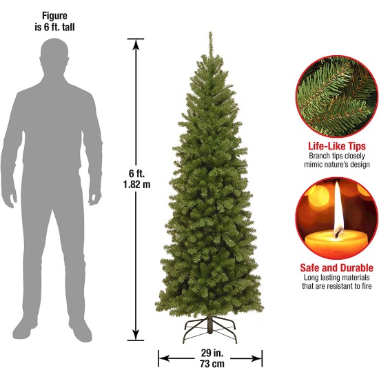  6′ North Valley Spruce Pencil Slim Tree