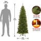  6′ North Valley Spruce Pencil Slim Tree