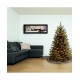  Company 5 ft. North Valley Spruce Tree with Clear Lights
