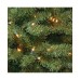  Company 5 ft. North Valley Spruce Tree with Clear Lights