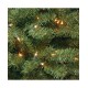  Company 5 ft. North Valley Spruce Tree with Clear Lights