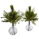  4546-S2 Mixed Pine in Glass Vase, 2 Piece