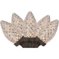 Northlight 100 Warm White LED Faceted C9 Christmas Lights – 66 ft Brown Wire