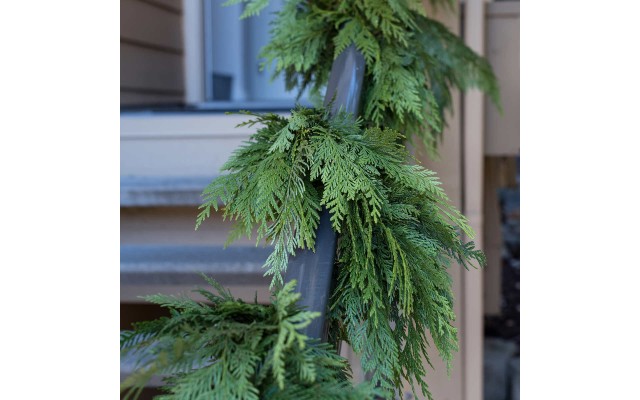 Pre-Order 30′ Fresh Cedar Garland
