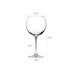  Glassware Basics Red Wine Set | 2 x 12 Piece