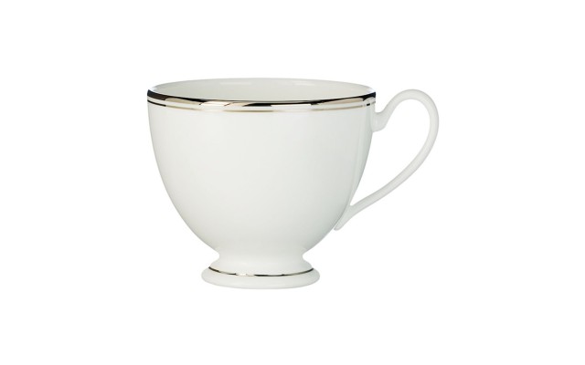 Kilbarry Platinum Teacup
