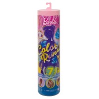 Barbie Color Reveal Doll and Accessories