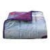  Elsa & Anna Kids Weighted Blanket Walking to Winter, 36 x 48
