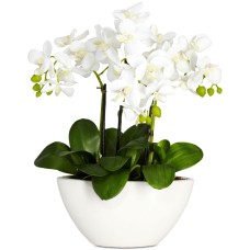 Nearly Natural Phalaenopsis Flower Arrangement