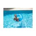 Pool Tube 36″ – Candygrams – Blue Raspberry – Just Beachy