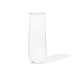 Clear Plastic 9oz Flute Champagne Glass, Set of 12