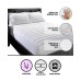  Big and Soft Mattress Pad – Twin
