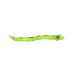 Tobar  Robo Alive Snake Green