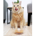  Lickable Cat Treats, Stew Chicken & Tuna, 5 Count (1.4 oz. Tubes)