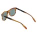  Havana Black Black Green 100% UV Men’s Sunglasses, MB0031S