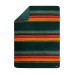  Sherpa Fleece Ultra Soft and Cozy Throw, Green