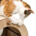 Vesper Cat Tree, High-Quality Finish Minou Cat Scratcher