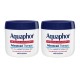  Advanced Therapy Healing Ointment 14 oz, 2-pack