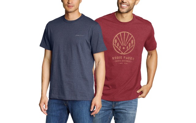  Men’s Tee, 2-pack, Blue, Large