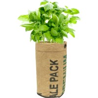 Urban Agriculture Organic Herb Grow Kit Basil
