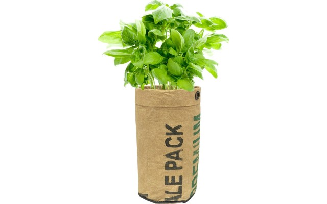 Urban Agriculture Organic Herb Grow Kit Basil